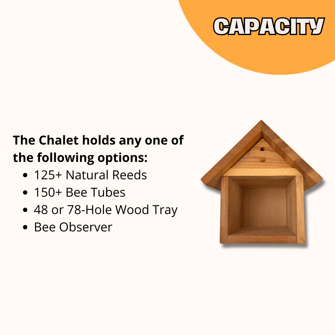 Chalet Cedar Bee House - Blessings Grow Meadows