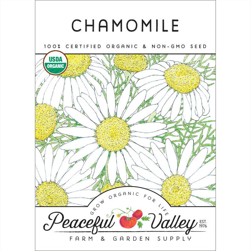 Chamomile Seeds (Organic) - Blessings Grow Meadows