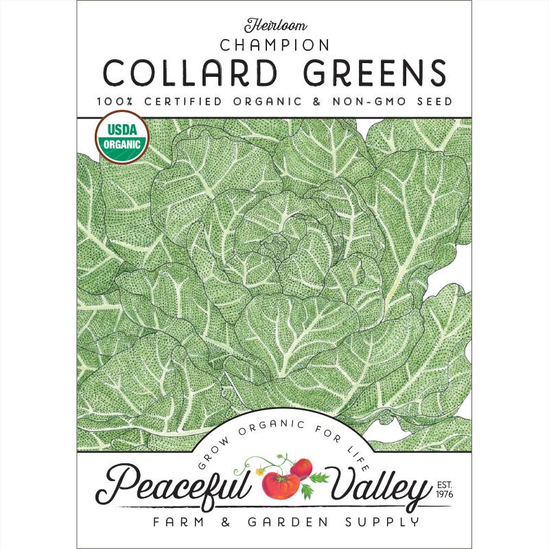 Champion Collard Green Seeds (Organic) - Blessings Grow Meadows