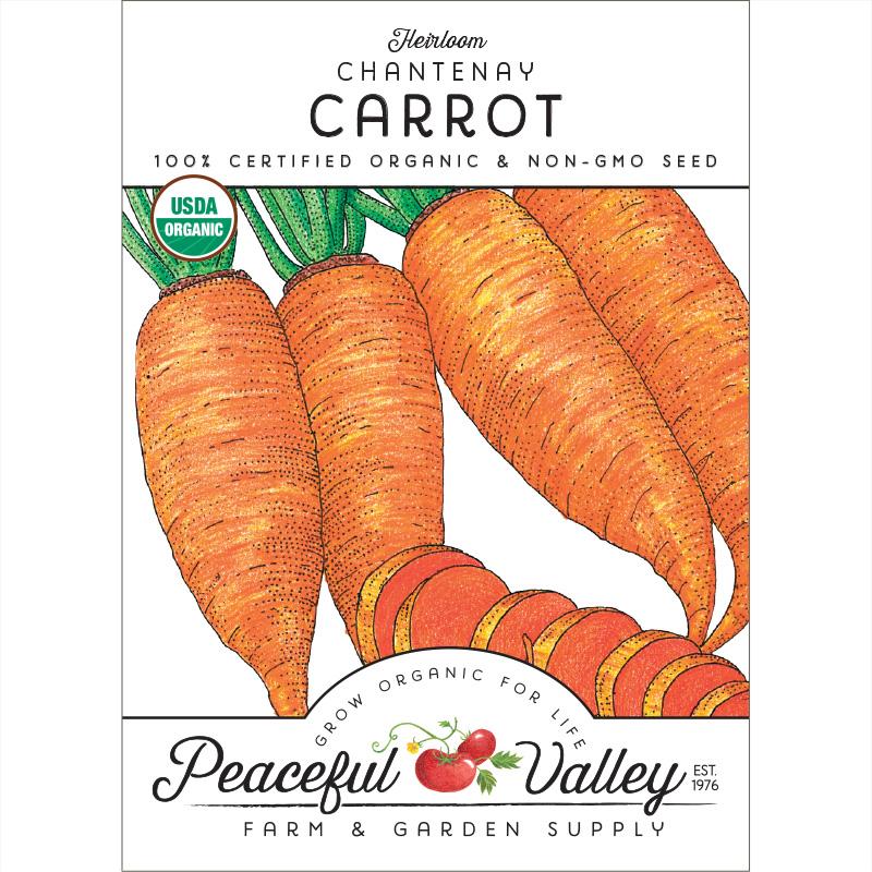 Chantenay Carrot Seeds (Organic) - Blessings Grow Meadows