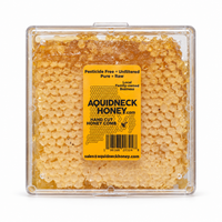 Hand-cut honey comb from New England by Aquidneck Honey, showcasing golden honey and natural beeswax in a close-up image.