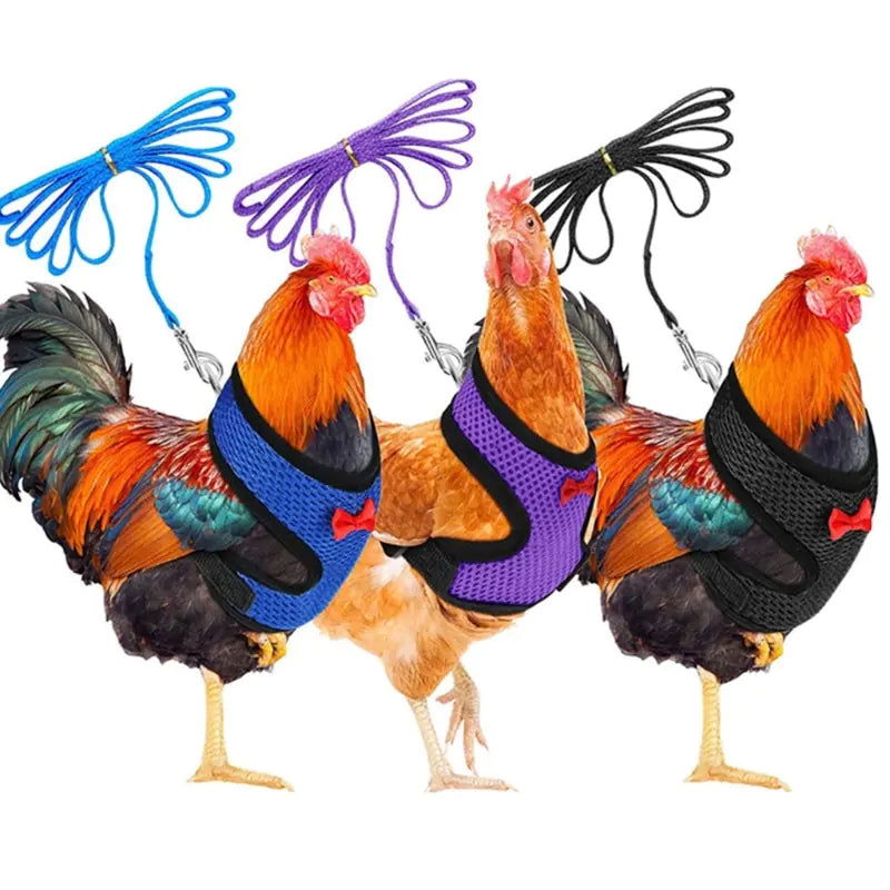 Chicken Harness with Leash Adjustable Chicken Leash for Hens Duck Puppy Breathable Comfortable Pet Harness 3 Sizes Y5GB - Blessings Grow Meadows -