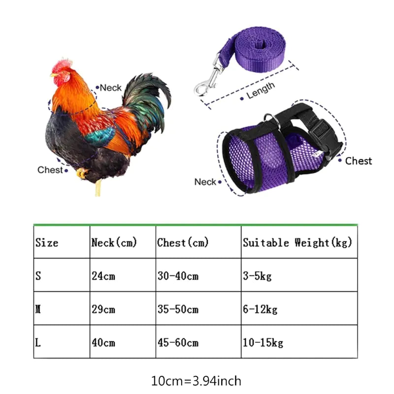 Chicken Harness with Leash Adjustable Chicken Leash for Hens Duck Puppy Breathable Comfortable Pet Harness 3 Sizes Y5GB - Blessings Grow Meadows -