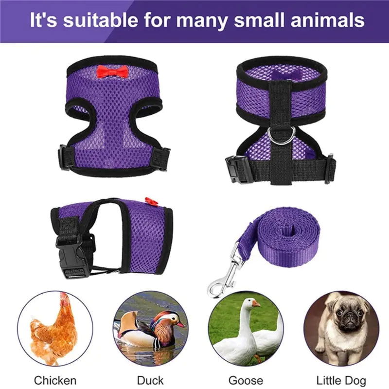 Chicken Harness with Leash Adjustable Chicken Leash for Hens Duck Puppy Breathable Comfortable Pet Harness 3 Sizes Y5GB - Blessings Grow Meadows -