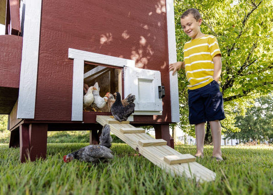 OverEZ large chicken coop with ramp, housing up to 15 chickens, featuring spacious outdoor enclosure and durable wood construction.