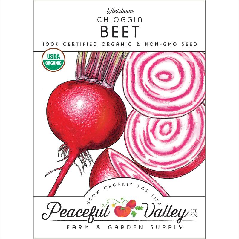 Chioggia Beet Seeds (Organic) - Blessings Grow Meadows