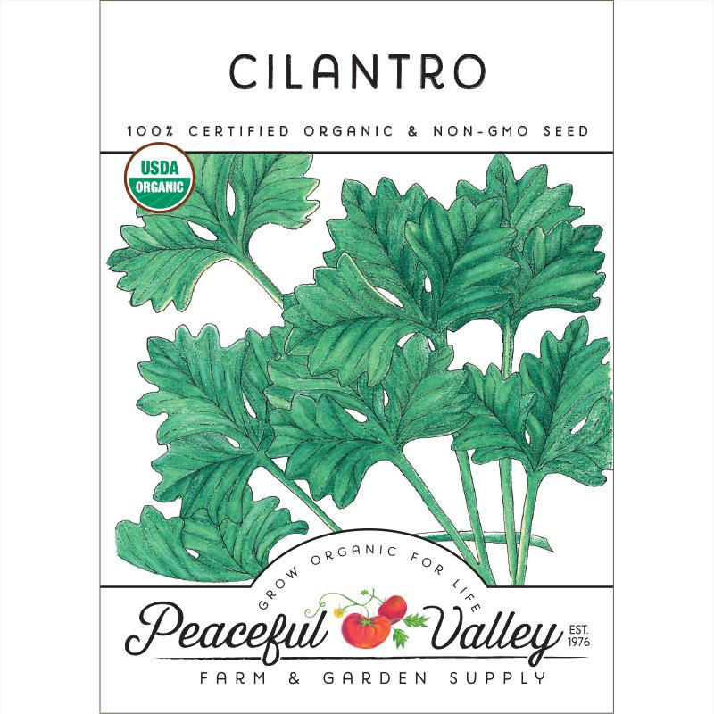 Cilantro Seeds (Organic) - Blessings Grow Meadows