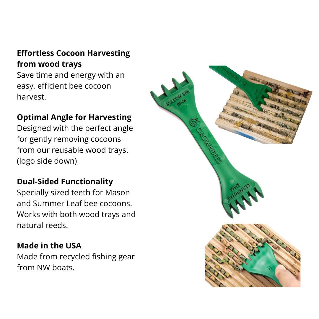 Cocoon Harvest Set
