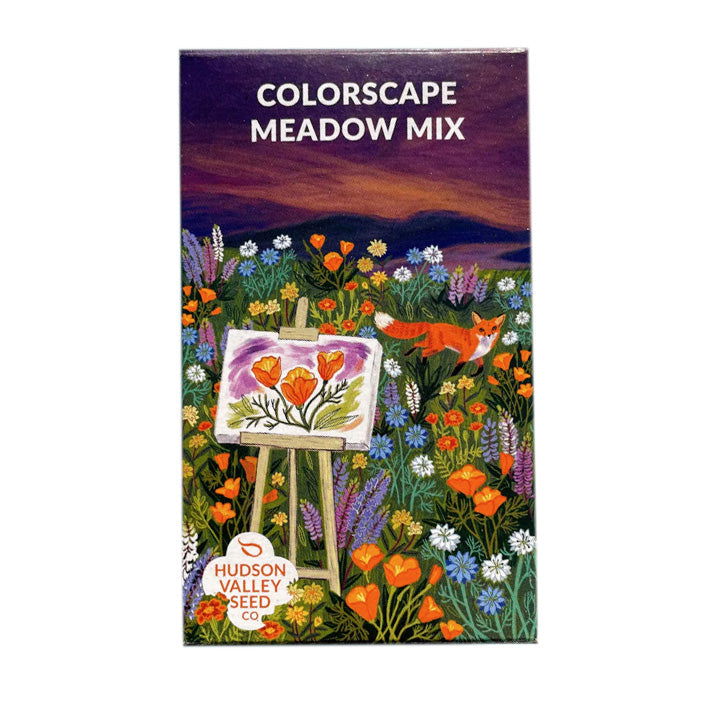 Colorscape Wildflower Mix Seed Shaker - Blessings Grow Meadows -