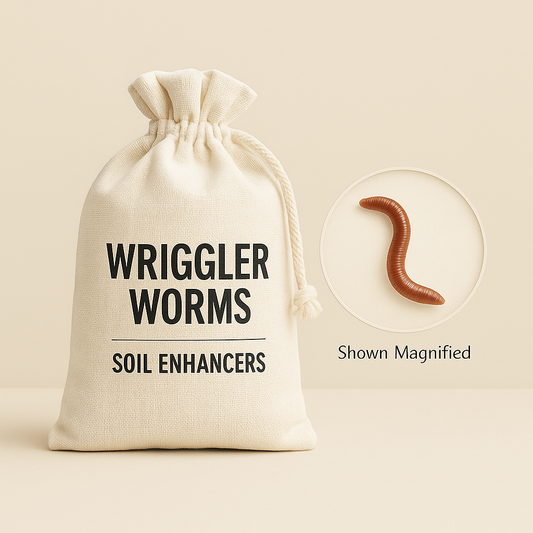 Composting Red Wriggler Worms - Blessings Grow Meadows -