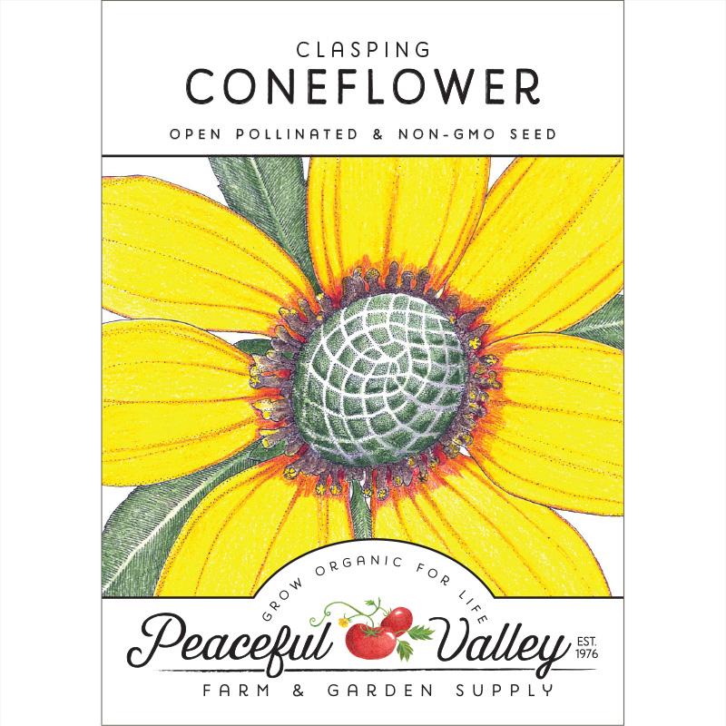 Coneflower, Clasping (pack) - Blessings Grow Meadows