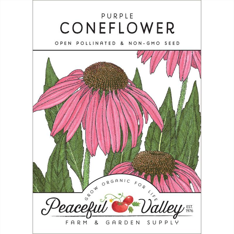 Coneflower, Purple (pack) - Blessings Grow Meadows