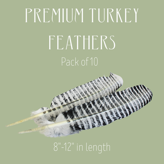 White Barred Turkey Rounds – 10 Pack (Premium Domestic Feathers)