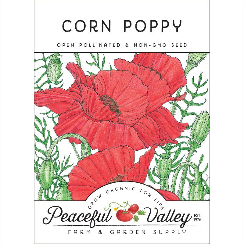 Corn Poppy - Blessings Grow Meadows -