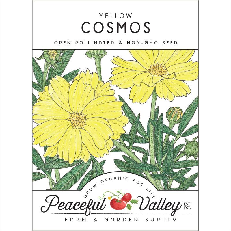 Cosmos, Yellow (pack) - Blessings Grow Meadows