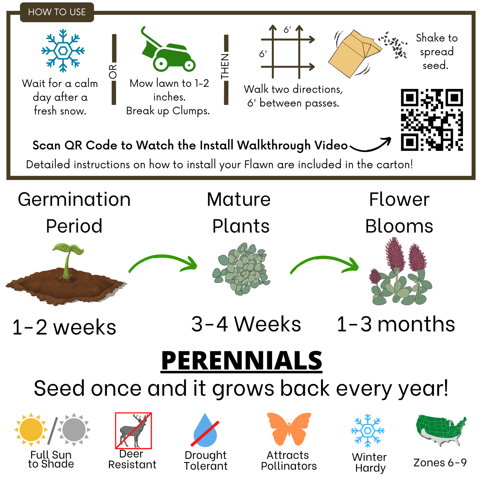 Crimson Clover Eco-Friendly Seeding Kit - Blessings Grow Meadows