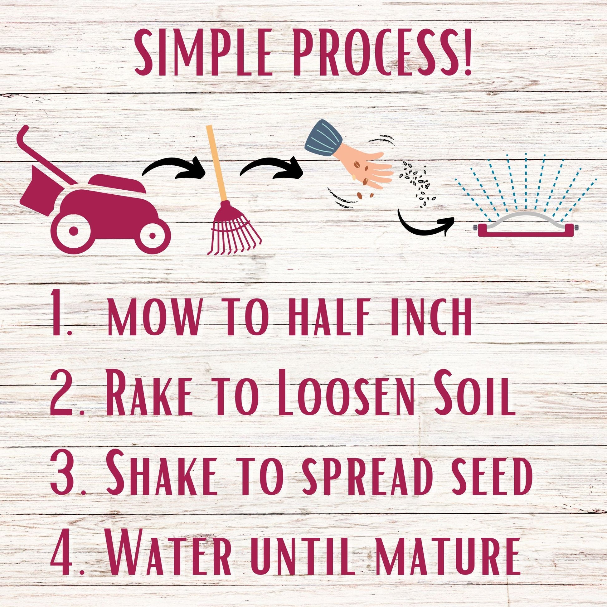 Crimson Clover Seed - Blessings Grow Meadows