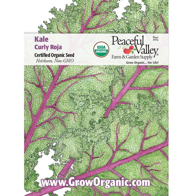 Curly Roja Kale Seeds (Organic) - Blessings Grow Meadows