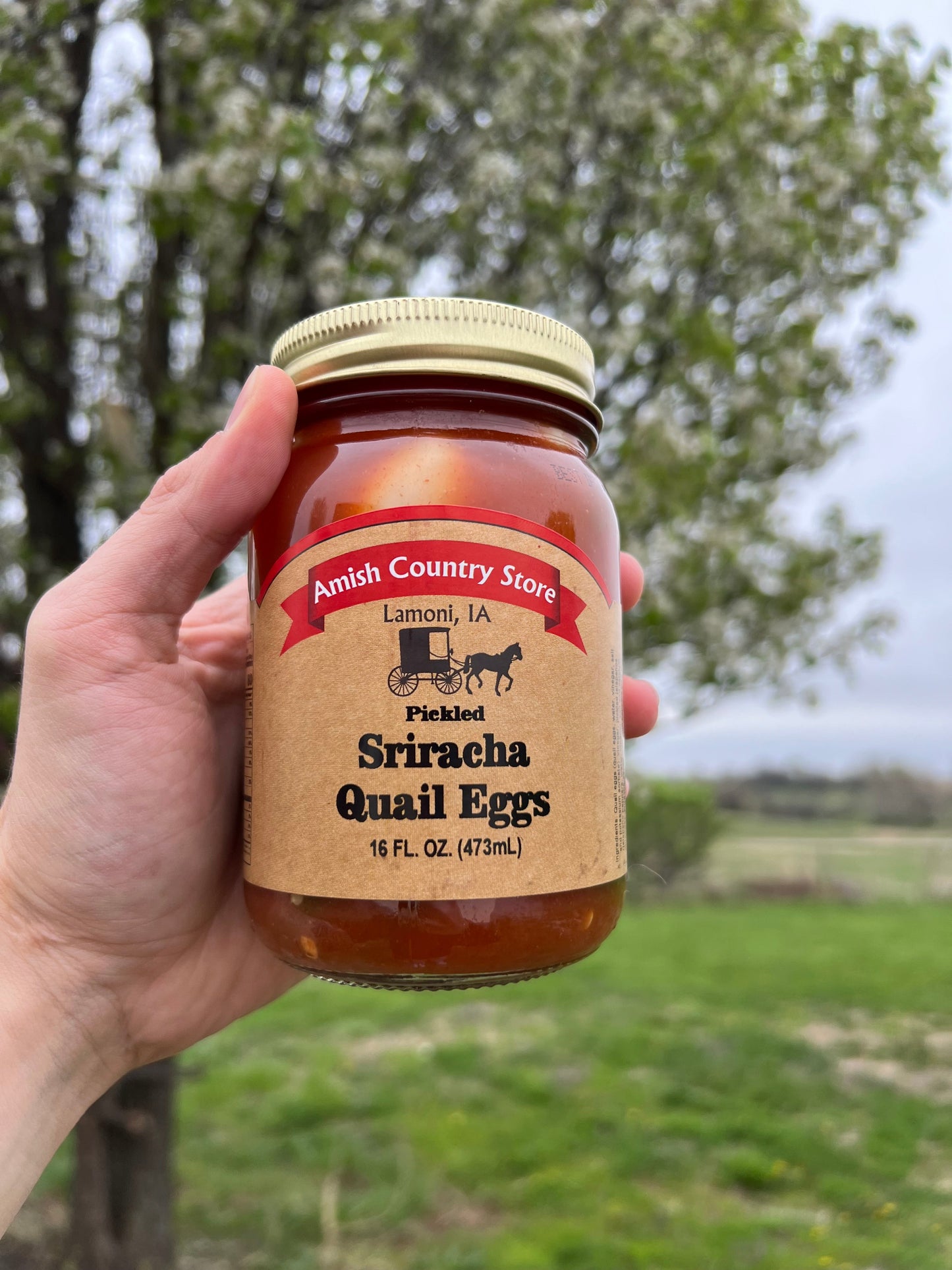 Pickled Sriracha Quail Eggs