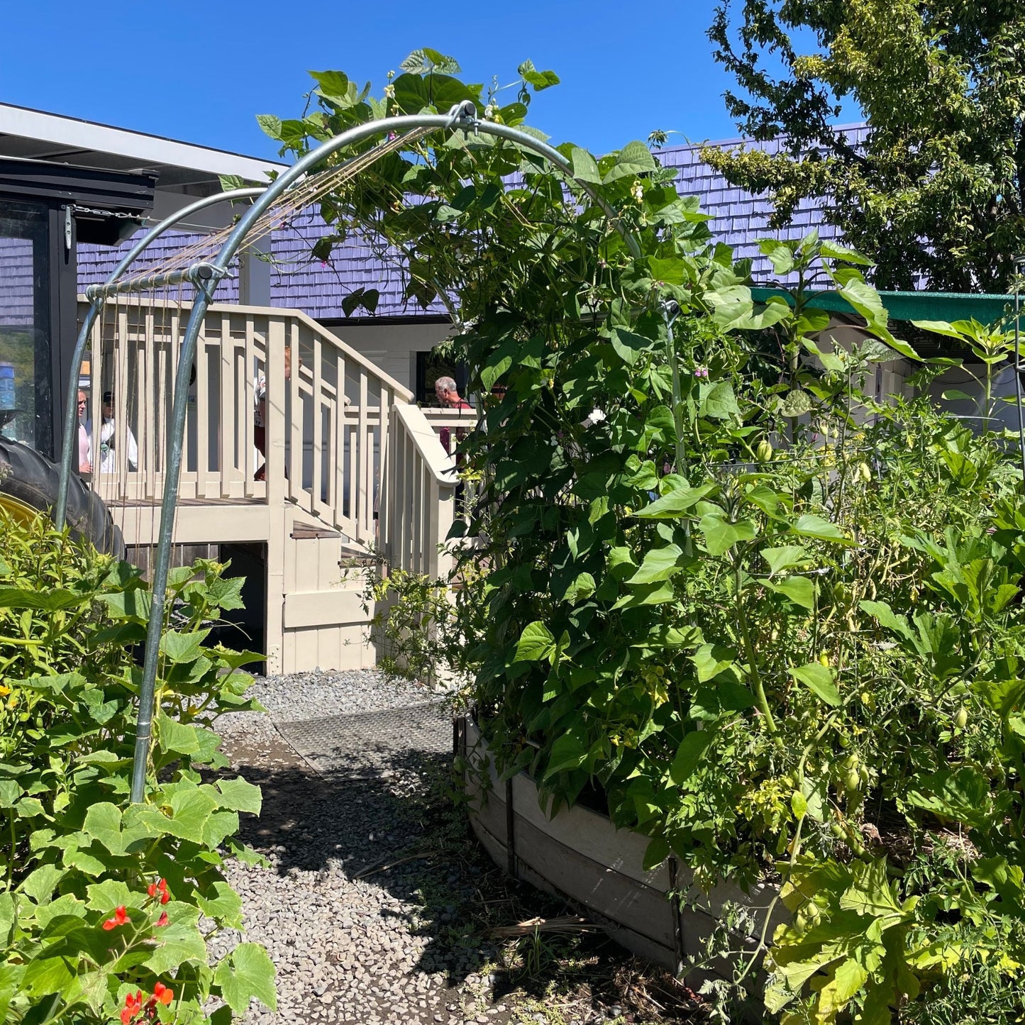 DIY Garden Arch - Bootstrap Farmer ~ Blessings Grow Meadows