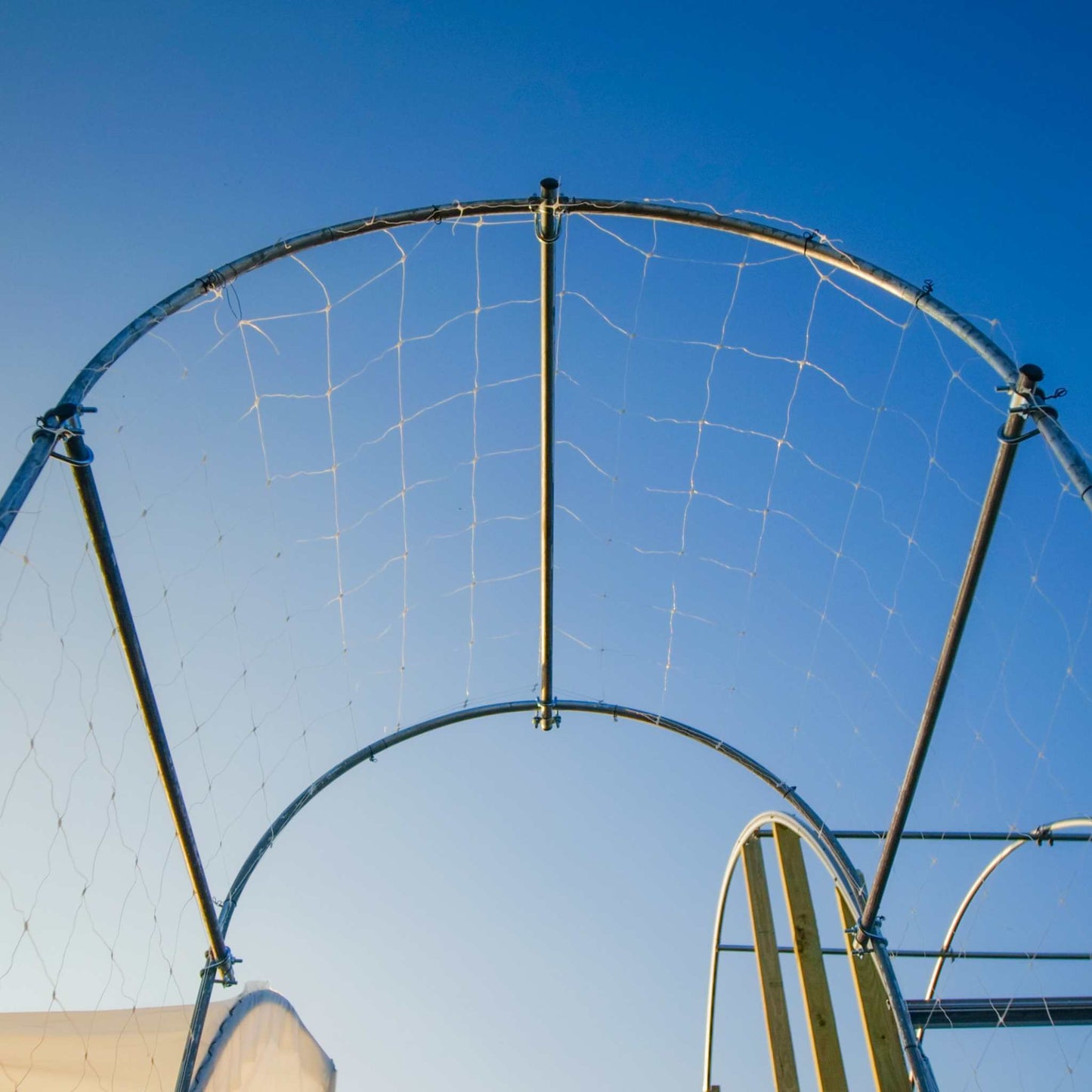 DIY Garden Arch - Bootstrap Farmer ~ Blessings Grow Meadows