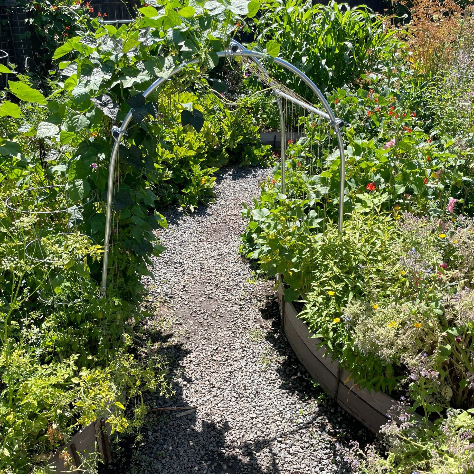 DIY Garden Arch - Bootstrap Farmer ~ Blessings Grow Meadows
