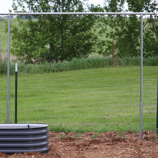 DIY Tomato Trellis | 1 3/8" Heavy Duty - Blessings Grow Meadows