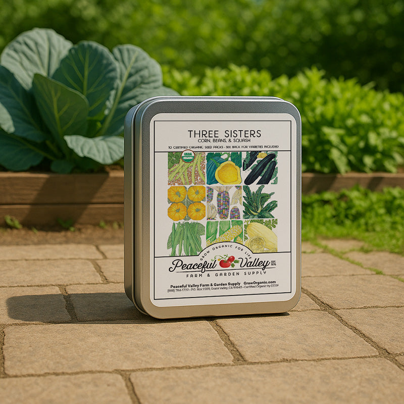 Gift Seed Tin - Three Sisters Collection - Blessings Grow Meadows