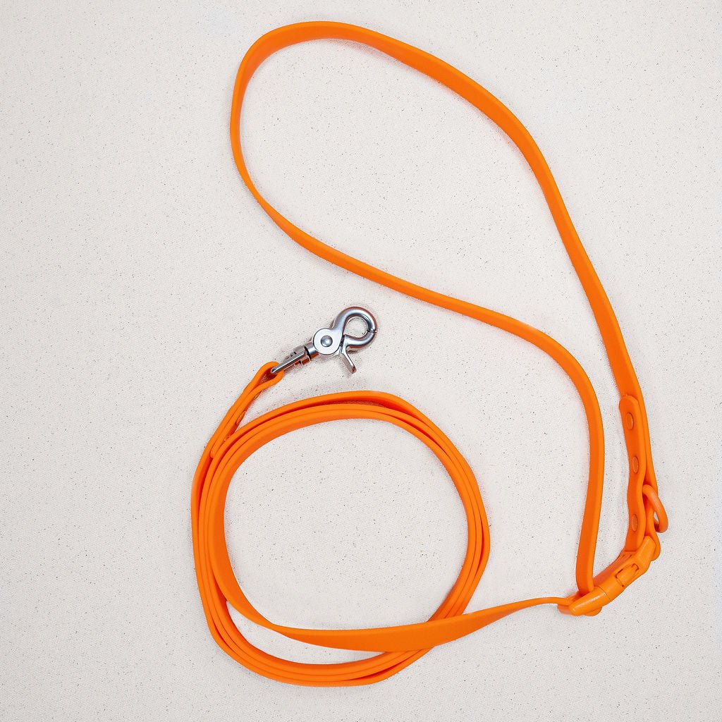Durable waterproof PVC handsfree dog leash from Tilley + Me with a comfortable handle and all-weather design.