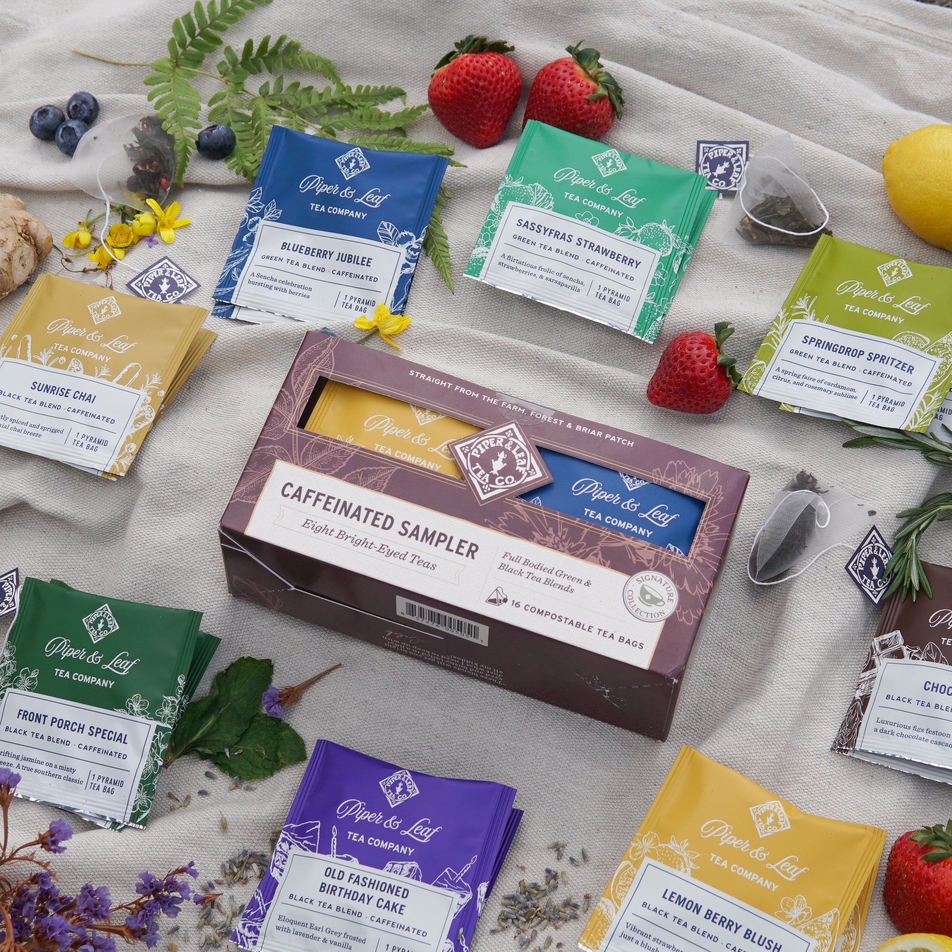 Box of 12 Piper and Leaf Tea Co. caffeinated tea bags tasting flight with assorted tea bag varieties on a white background.