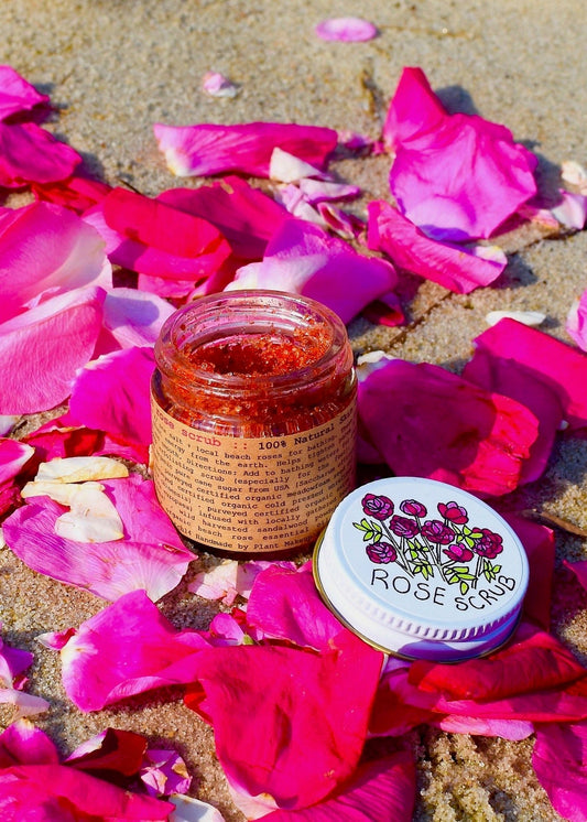Plant Makeup Beach Rose Scrub in a jar with natural rose petals and exfoliating grains, emphasizing its botanical skincare ingredients.