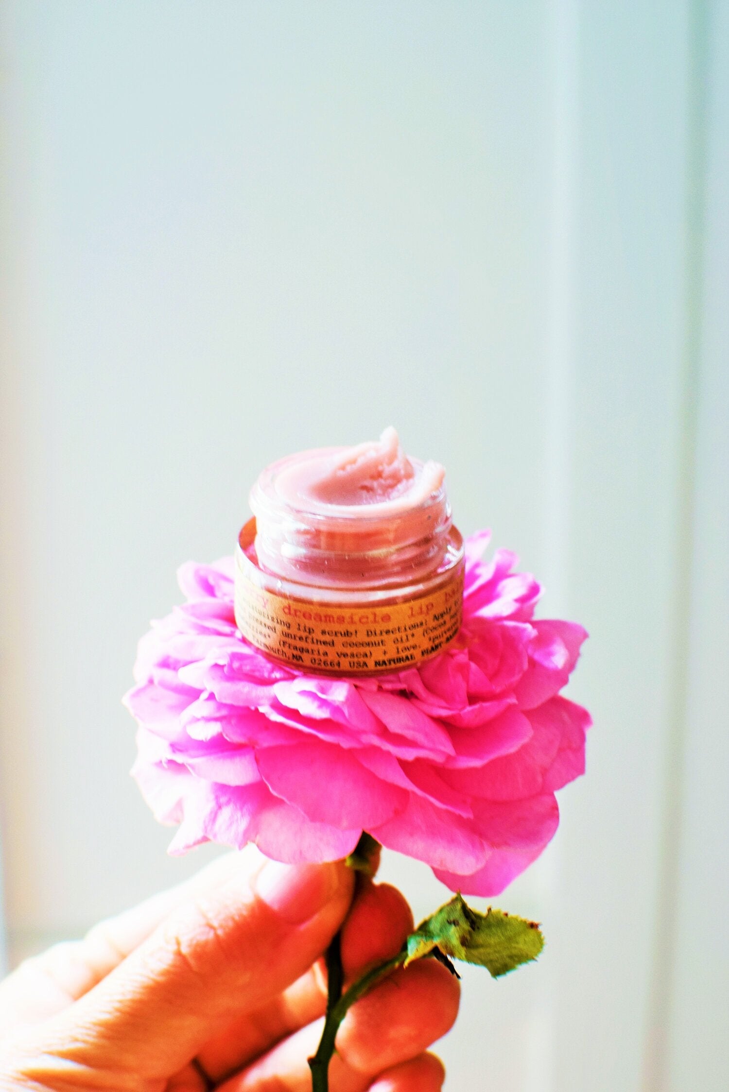 Plant Makeup Strawberry Dreamsicle lip balm scrub in a jar with a pink, creamy texture and fresh strawberry scent.