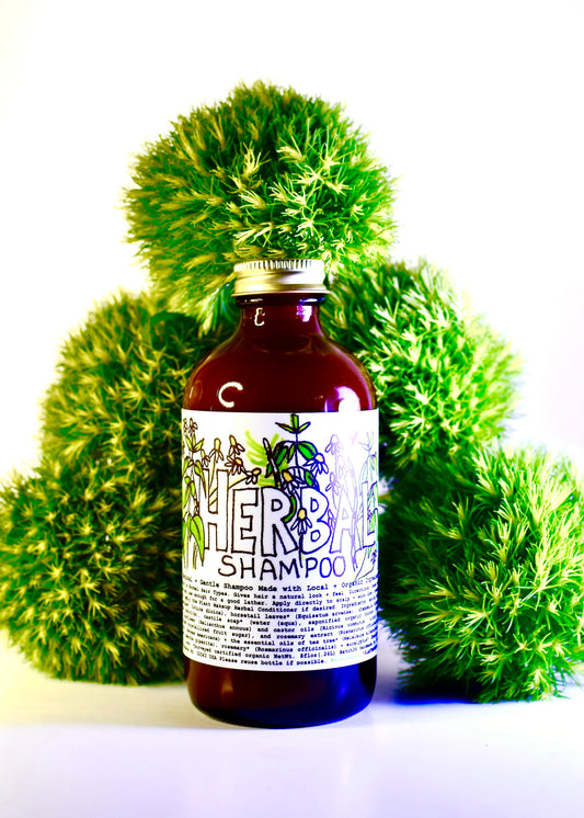 Herbal shampoo bottle from Plant Makeup with natural ingredients, shown in a close-up image.