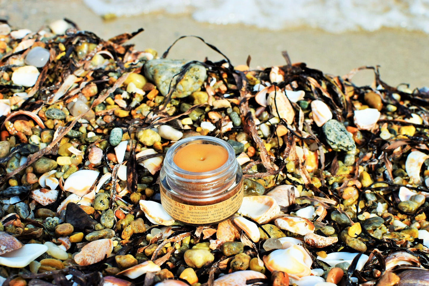 Plant Makeup Cinnamon Lip Plumper showing a close-up of lips with a glossy, cinnamon-colored finish.