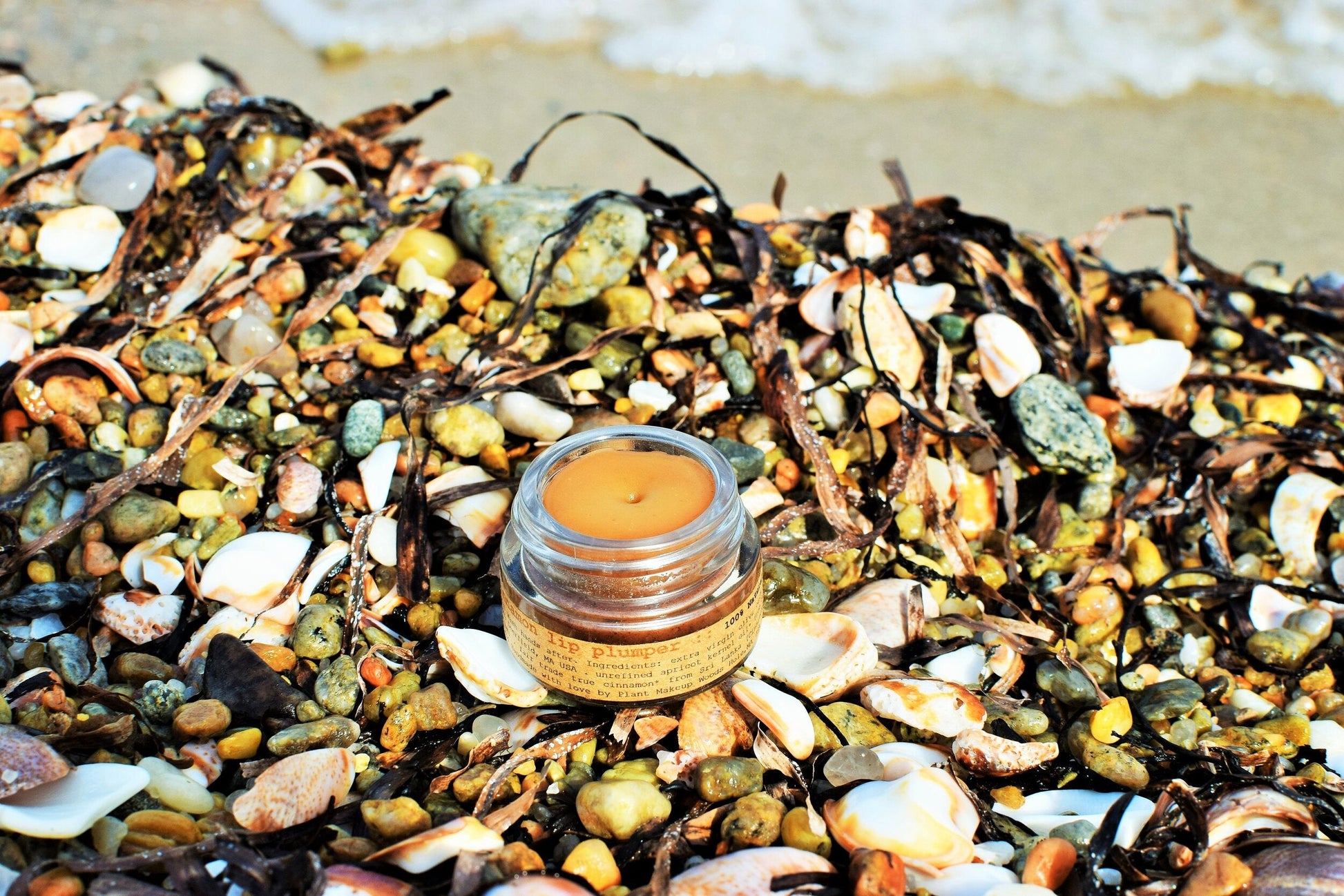 Plant Makeup Cinnamon Lip Plumper showing a close-up of lips with a glossy, cinnamon-colored finish.