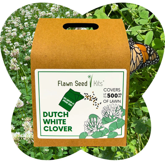 Dutch White Clover Eco-Friendly Seeding Kit - Blessings Grow Meadows