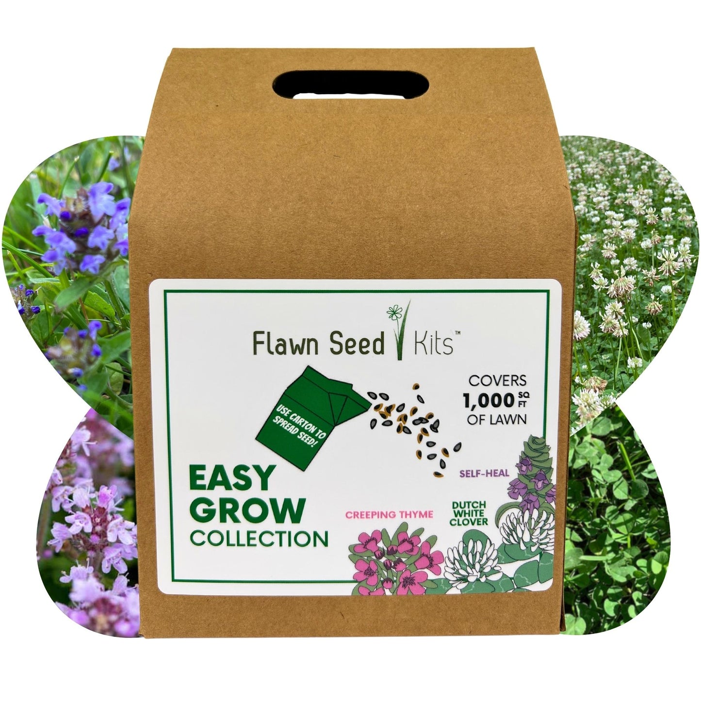 Easy Grow Dutch Clover Bee Lawn Eco-Friendly Kit - Blessings Grow Meadows
