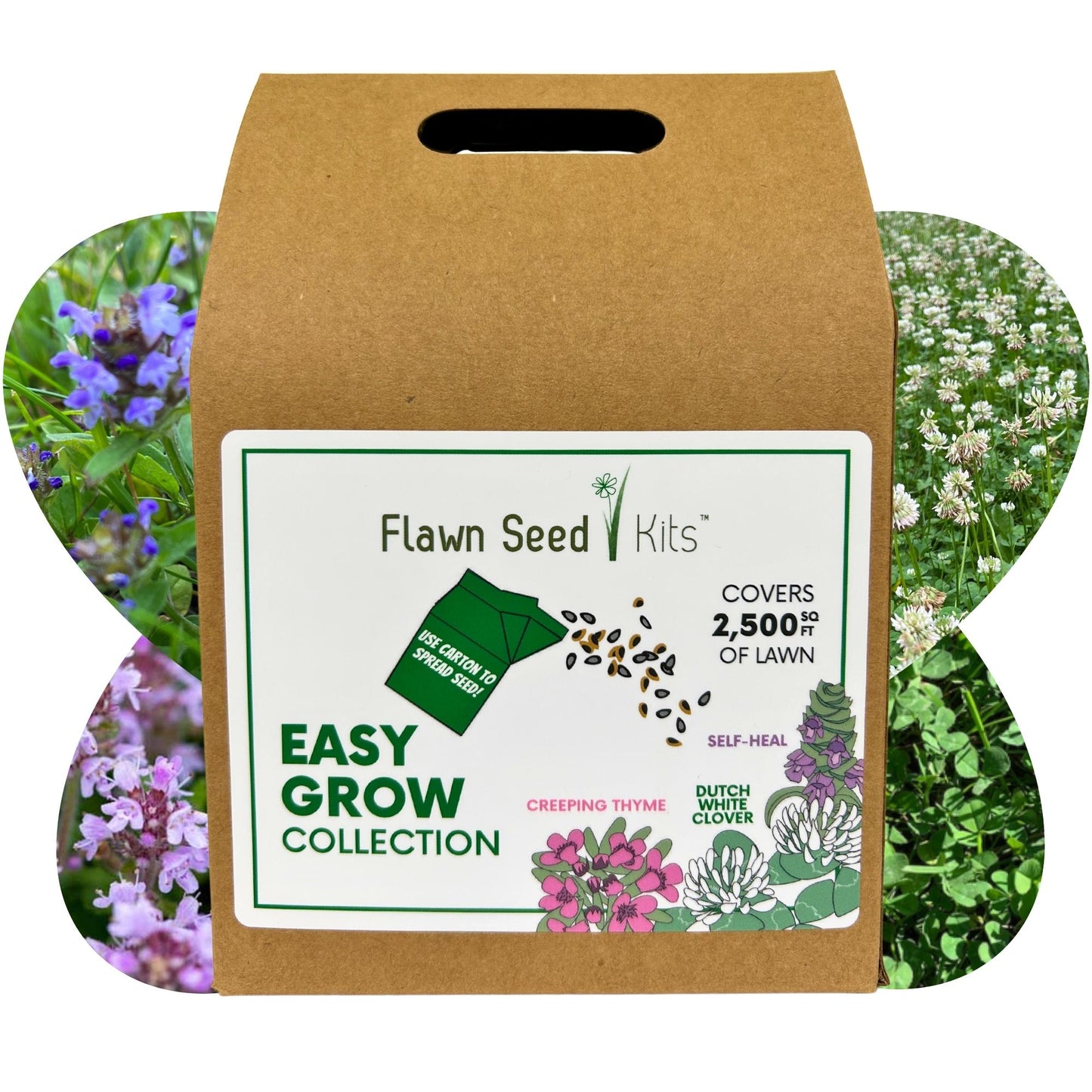 Easy Grow Dutch Clover Bee Lawn Eco-Friendly Kit - Blessings Grow Meadows
