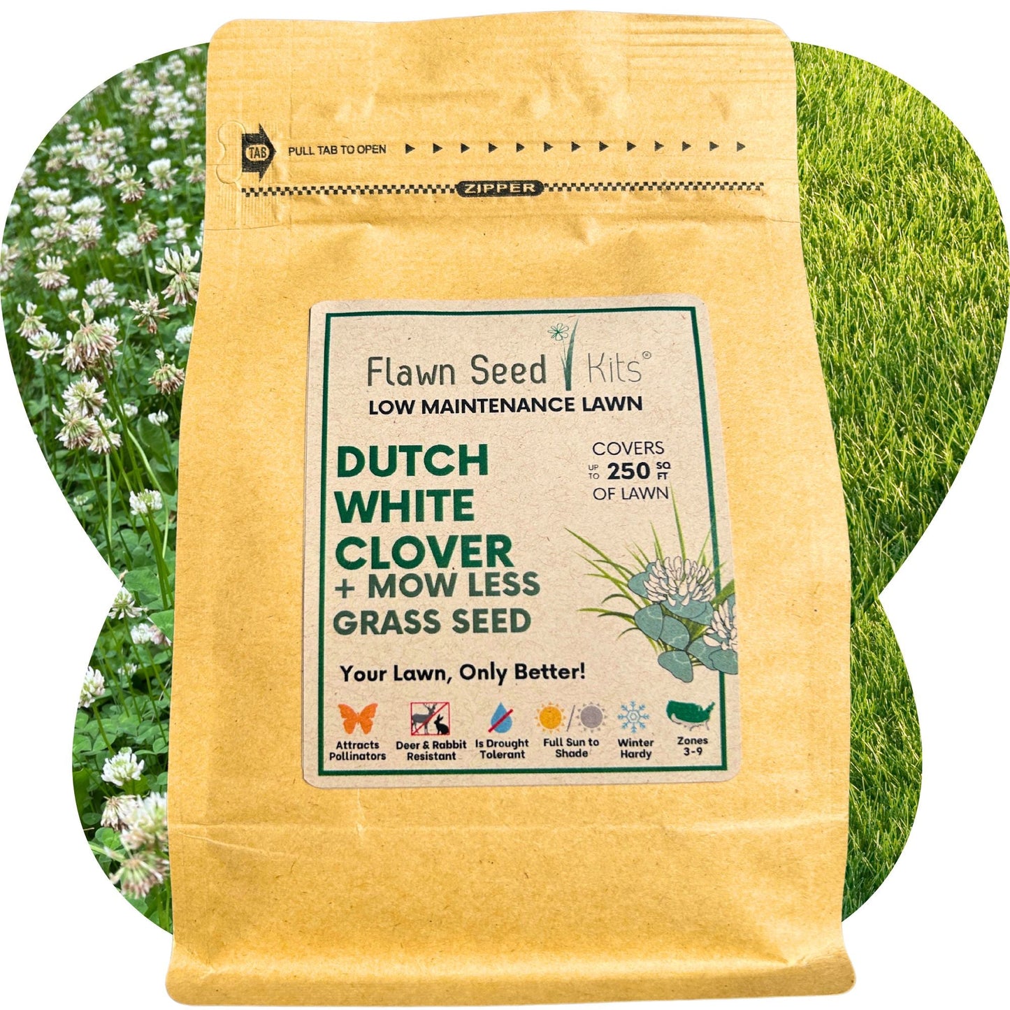 Dutch White Clover + Mow Less Grass Seed - Blessings Grow Meadows