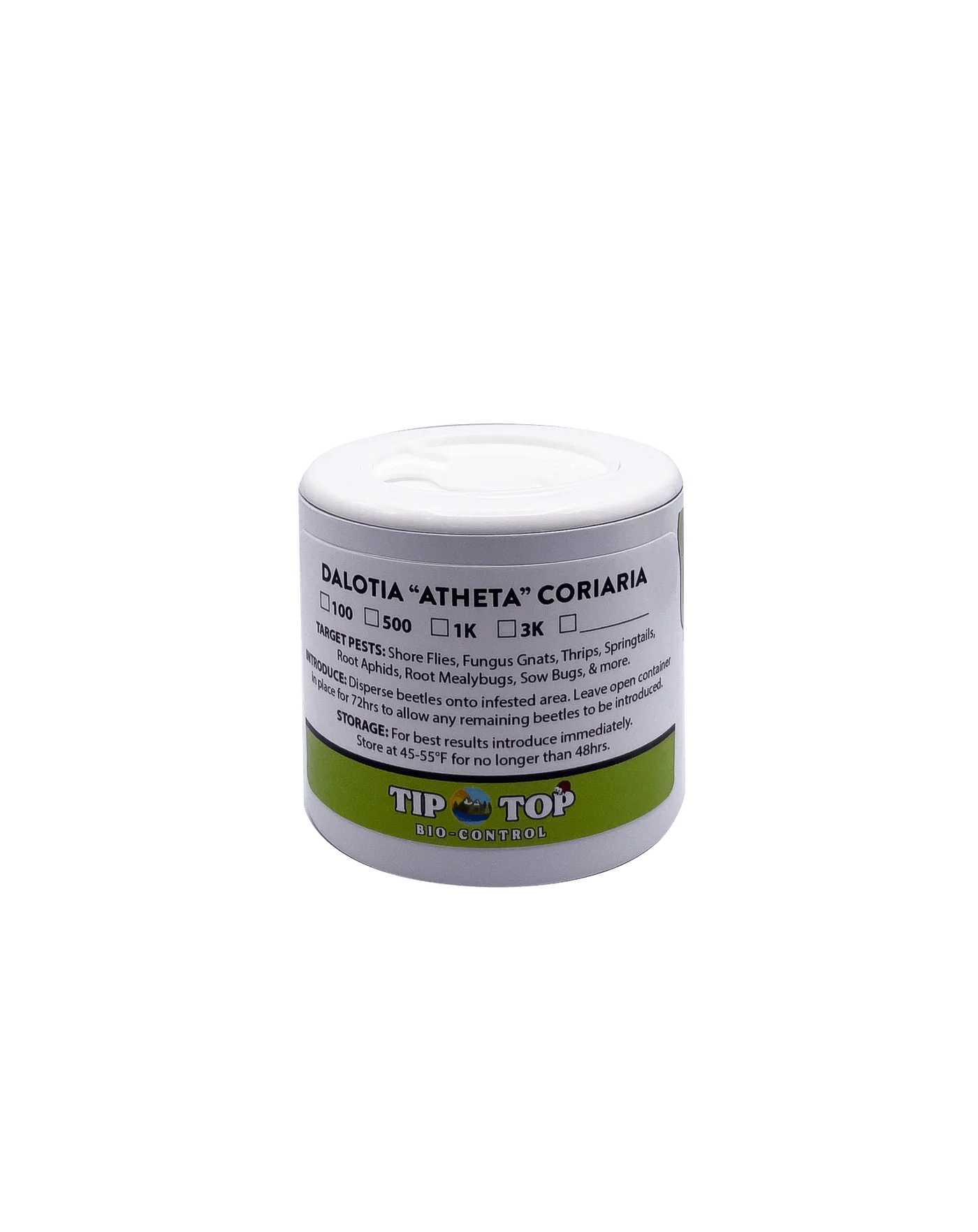 Dalotia coriaria - Rove Beetle - Blessings Grow Meadows -