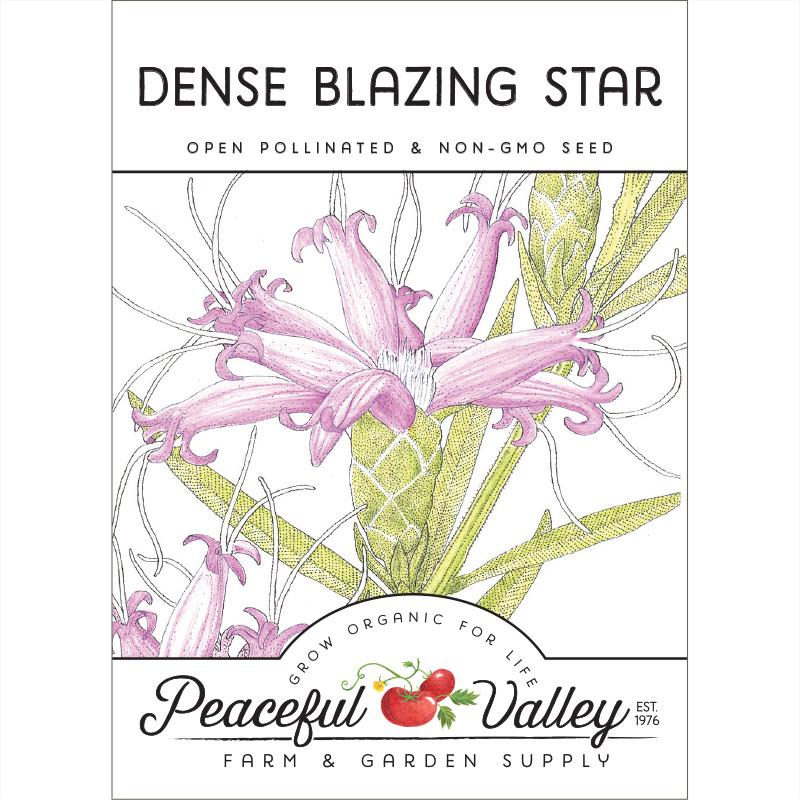 Dense Blazing Star (pack) - Blessings Grow Meadows