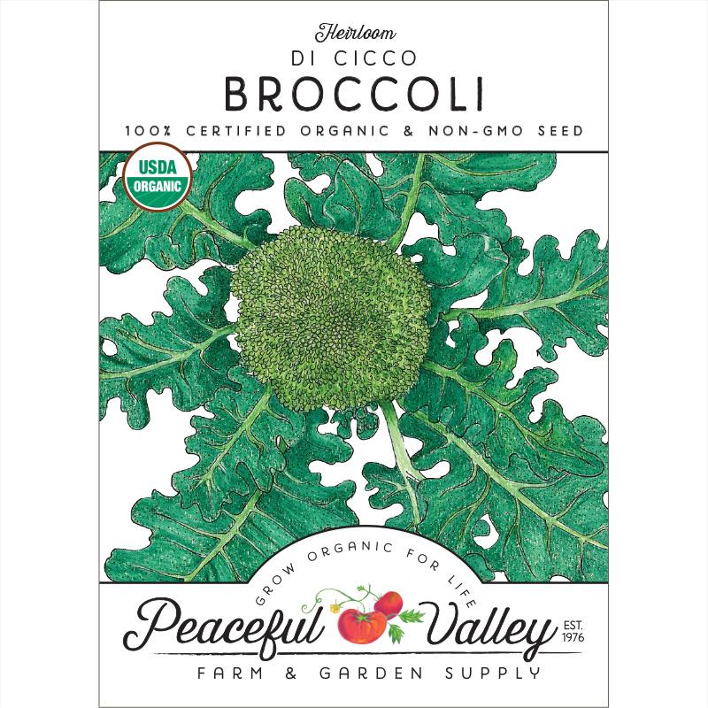 Di Cicco Broccoli Seeds (Organic) - Blessings Grow Meadows