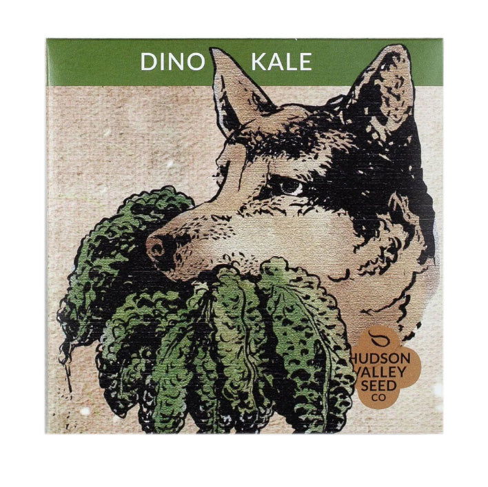 Dino Kale Art Pack - Blessings Grow Meadows -