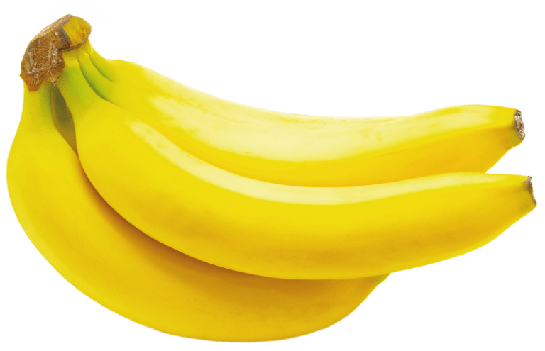 Double Mahoi Dwarf Banana Plant - Blessings Grow Meadows -