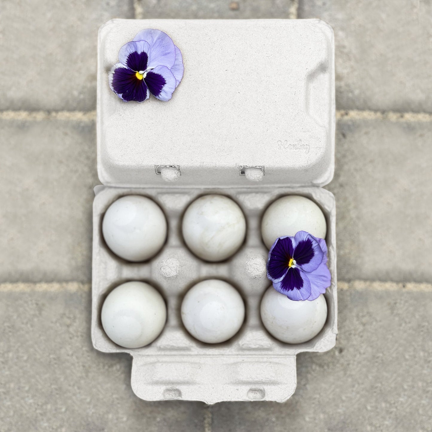 Henlay Duck Egg Cartons - Holds Half Dozen Jumbo Eggs- Blank Flat Top, 2 colors, 20 or 100 - Blessings Grow Meadows