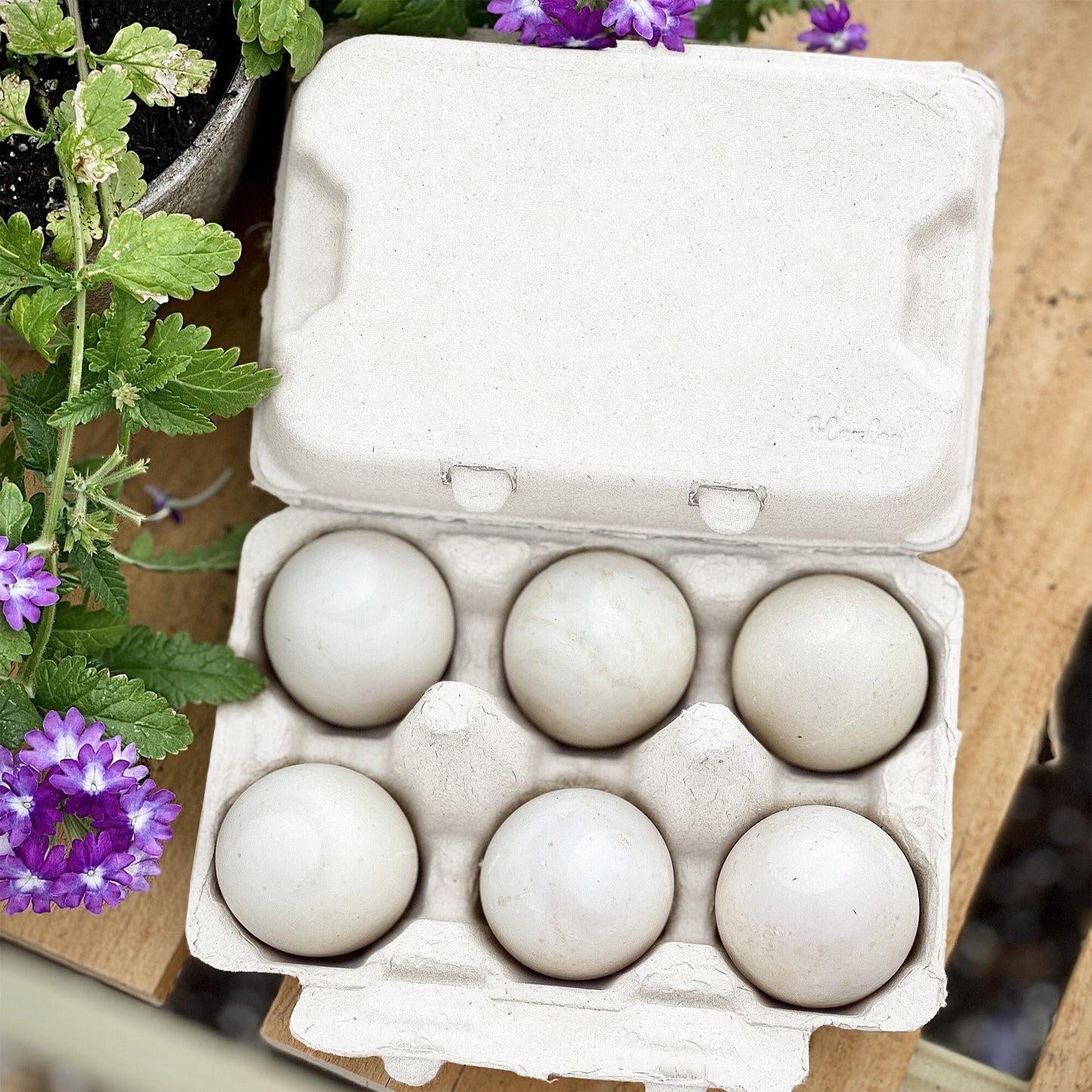 Henlay Duck Egg Cartons - Holds Half Dozen Jumbo Eggs- Blank Flat Top, 2 colors, 20 or 100 - Blessings Grow Meadows