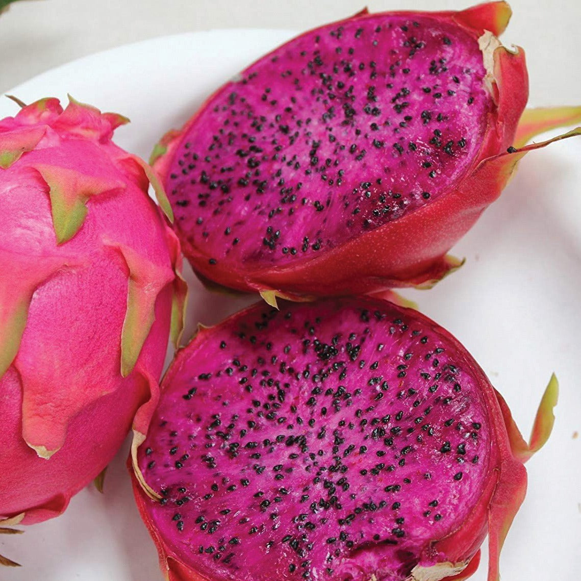 Purple Dragonfruit - Blessings Grow Meadows