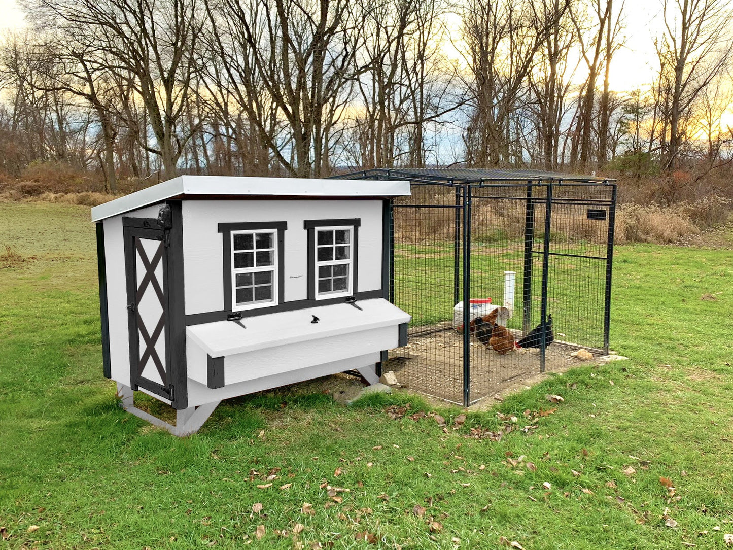 Large Chicken Coop - Up to 15 Chickens - OverEZ Chicken Coop ~ Blessings Grow Meadows
