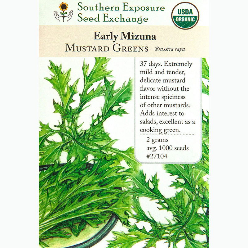 Early Mizuna Mustard Seeds (Organic) - Blessings Grow Meadows