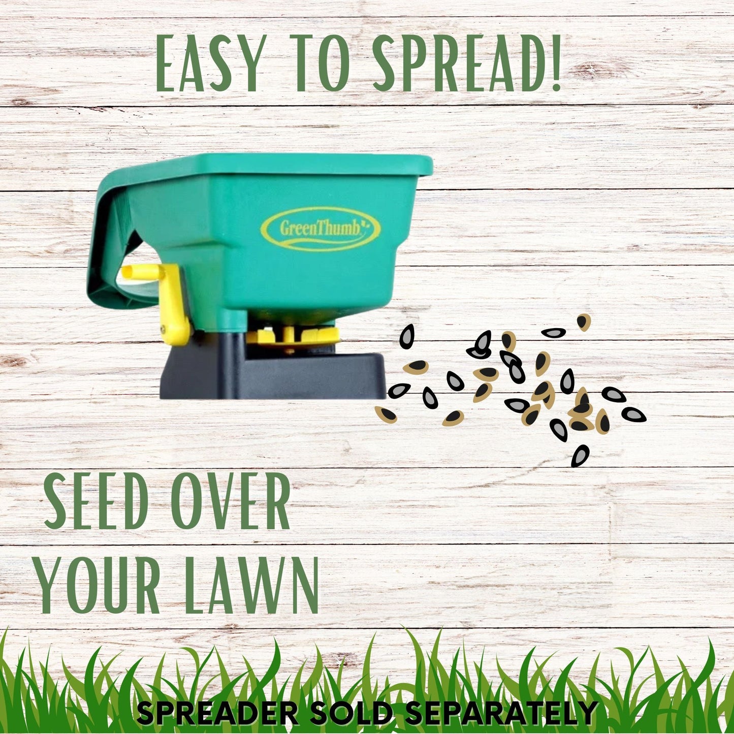 Dutch White Clover + Mow Less Grass Seed - Blessings Grow Meadows